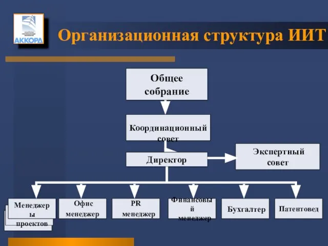 Организационная структура ИИТ