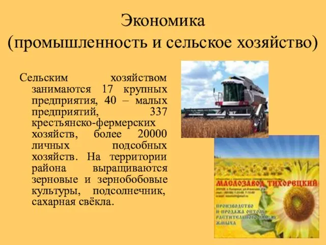 Экономика (промышленность и сельское хозяйство) Сельским хозяйством занимаются 17 крупных предприятия, 40