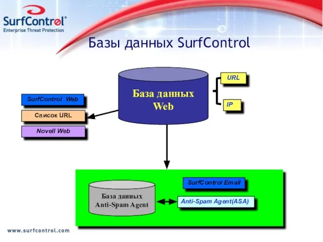 Базы данных SurfControl Novell Web SurfControl Web IP URL Anti-Spam Agent(ASA) База