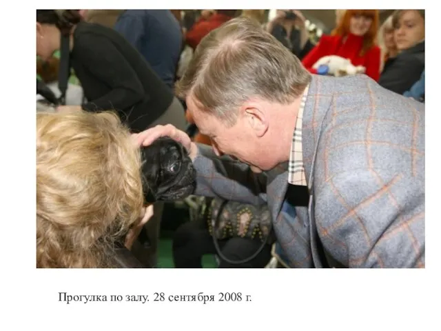 Прогулка по залу. 28 сентября 2008 г.