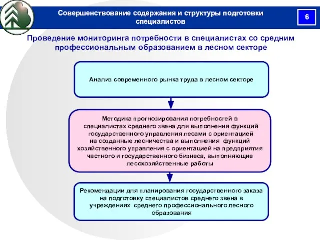 Проведение мониторинга потребности в специалистах со средним профессиональным образованием в лесном секторе