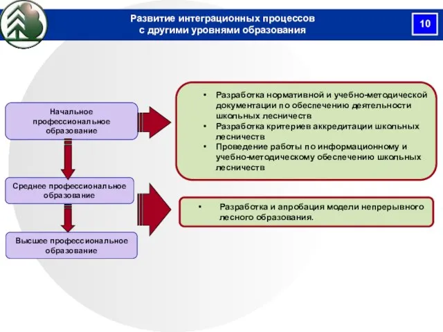 Разработка нормативной и учебно-методической документации по обеспечению деятельности школьных лесничеств Разработка критериев