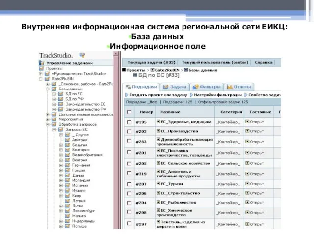 Внутренняя информационная система региональной сети ЕИКЦ: База данных Информационное поле