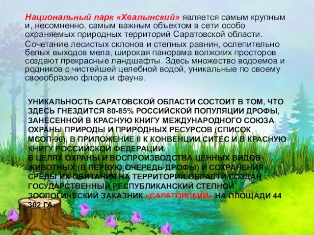 Национальный парк «Хвалынский» является самым крупным и, несомненно, самым важным объектом в