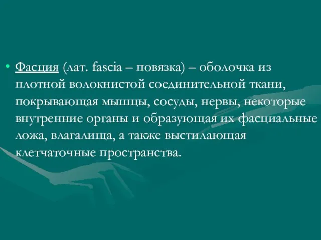 Фасция (лат. fascia – повязка) – оболочка из плотной волокнистой соединительной ткани,