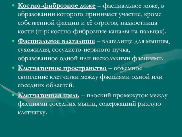 Костно-фиброзное ложе – фасциальное ложе, в образовании которого принимает участие, кроме собственной