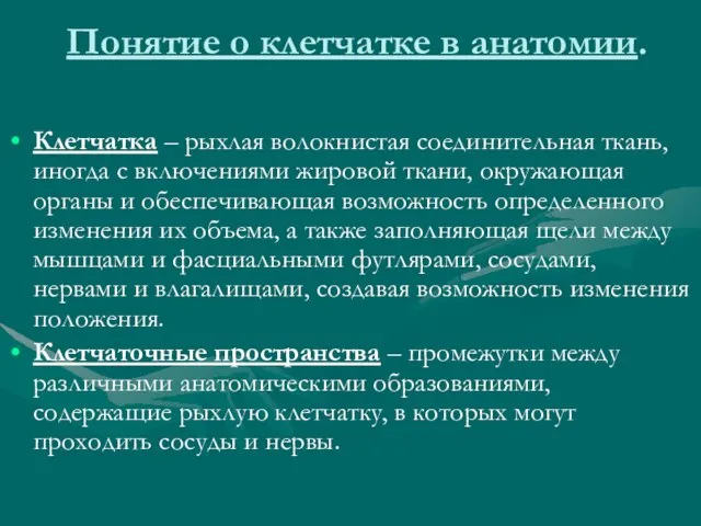 Понятие о клетчатке в анатомии. Клетчатка – рыхлая волокнистая соединительная ткань, иногда