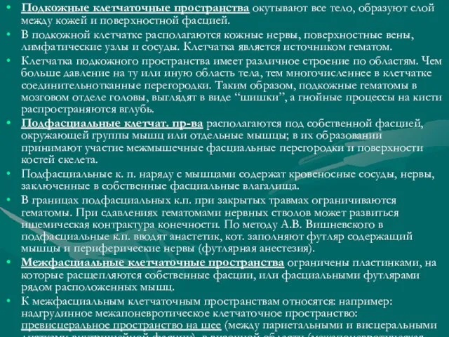 Подкожные клетчаточные пространства окутывают все тело, образуют слой между кожей и поверхностной