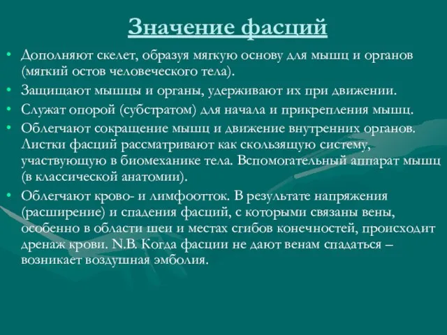 Значение фасций Дополняют скелет, образуя мягкую основу для мышц и органов (мягкий