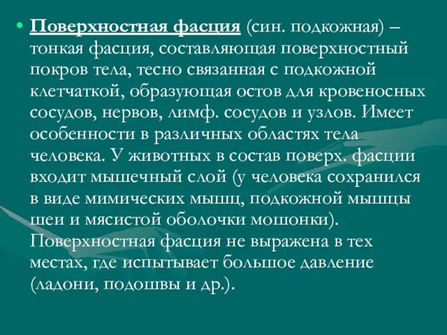 Поверхностная фасция (син. подкожная) – тонкая фасция, составляющая поверхностный покров тела, тесно