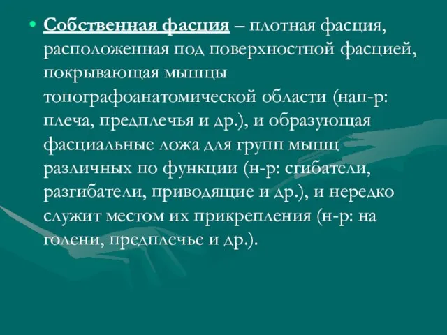 Собственная фасция – плотная фасция, расположенная под поверхностной фасцией, покрывающая мышцы топографоанатомической