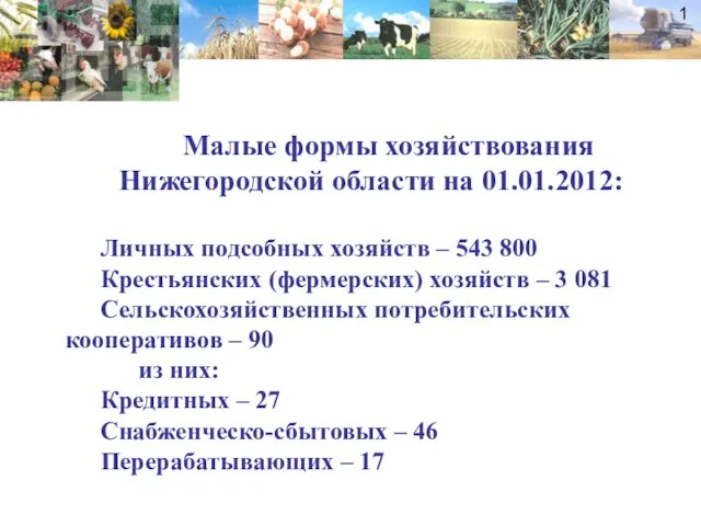 Малые формы хозяйствования Нижегородской области на 01.01.2012: Личных подсобных хозяйств – 543