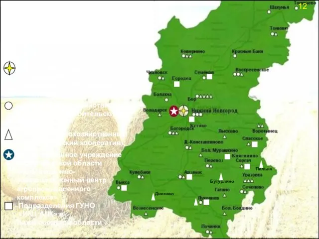 Размещение консультационных центров и сельскохозяйственных потребительских кооперативов по Нижегородской области - ОСКПК