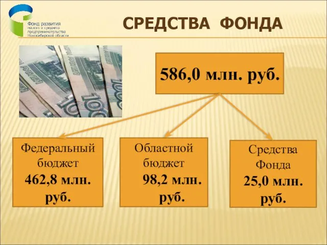СРЕДСТВА ФОНДА 586,0 млн. руб. Федеральный бюджет 462,8 млн. руб. Областной бюджет