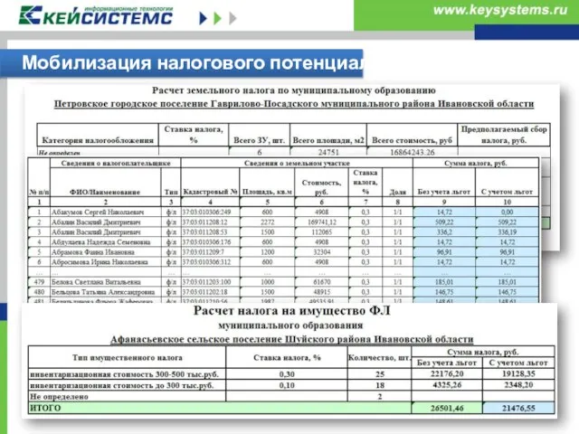 Мобилизация налогового потенциала