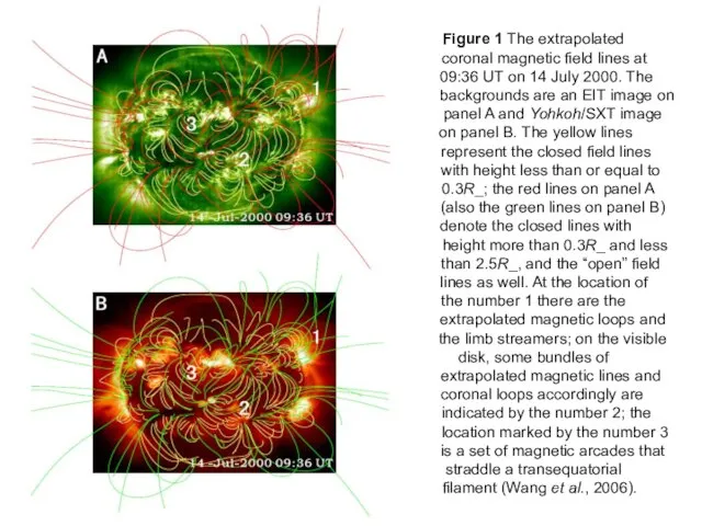 Figure 1 The extrapolated coronal magnetic field lines at 09:36 UT on