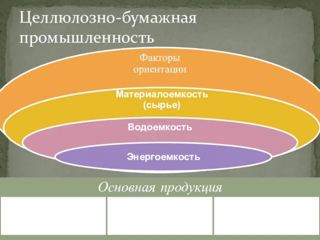 Целлюлозно-бумажная промышленность