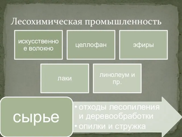 Лесохимическая промышленность