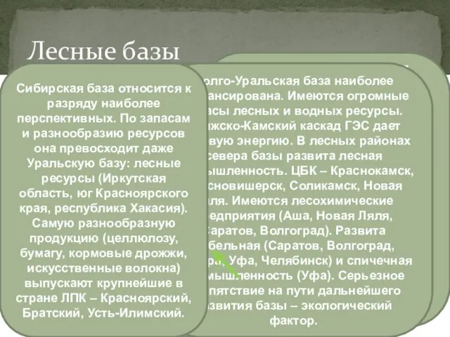 Лесные базы Северо-Европейская Центральная Урало-Поволжская Сибирская Выгодное транспортное ГП, большие запасы леса,