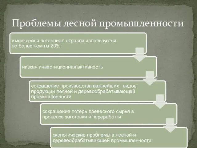 Проблемы лесной промышленности