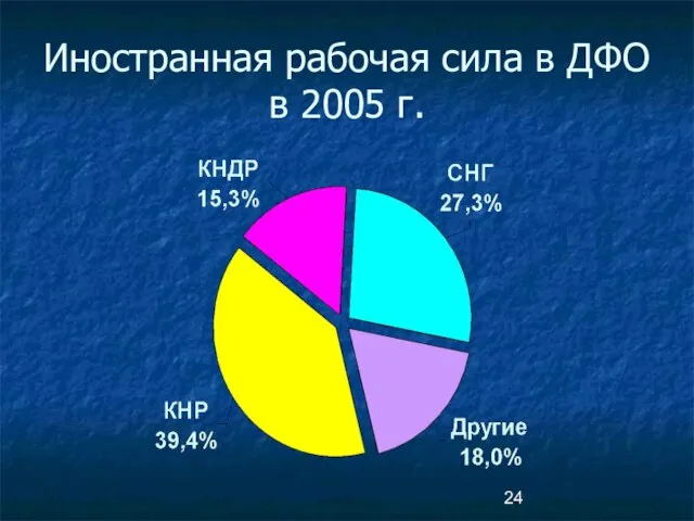 Иностранная рабочая сила в ДФО в 2005 г.