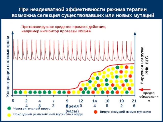 При неадекватной эффективности режима терапии возможна селекция существовавших или новых мутаций 24