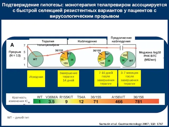 Подтверждение гипотезы: монотерапия телапревиром ассоциируется с быстрой селекцией резистентных вариантов у пациентов