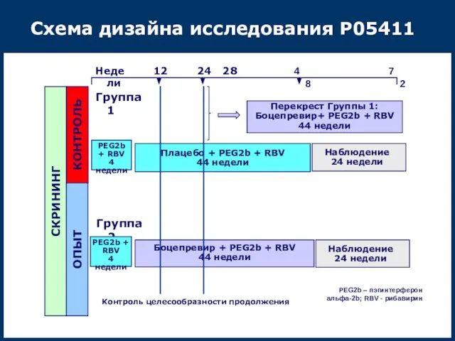 Схема дизайна исследования P05411 PEG2b – пэгинтерферон альфа-2b; RBV - рибавирин