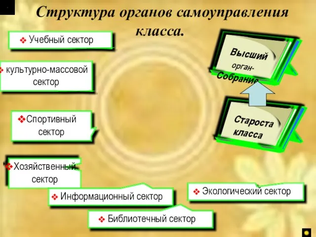 культурно-массовой сектор Учебный сектор Спортивный сектор Хозяйственный сектор Экологический сектор Структура органов