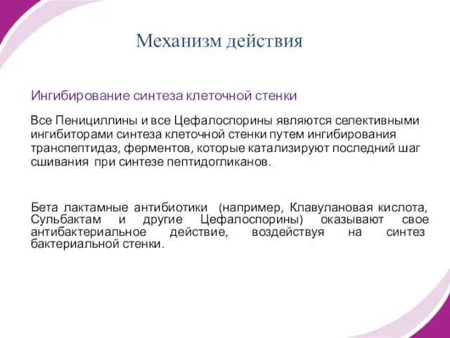 Ингибирование синтеза клеточной стенки Все Пенициллины и все Цефалоспорины являются селективными ингибиторами