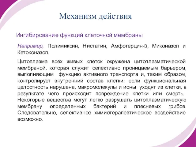 Ингибирование функций клеточной мембраны Например, Полимиксин, Нистатин, Амфотерцин-B, Миконазол и Кетоконазол. Цитоплазма