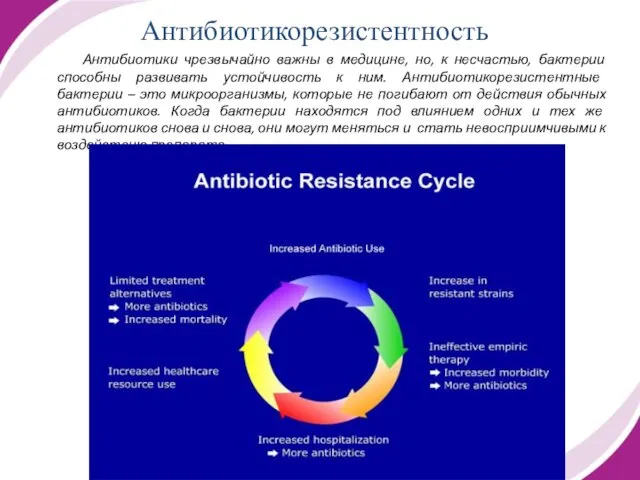 Антибиотикорезистентность Антибиотики чрезвычайно важны в медицине, но, к несчастью, бактерии способны развивать