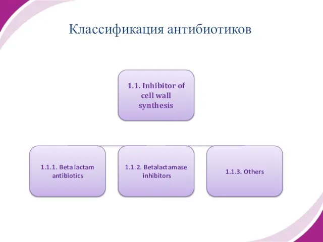 Классификация антибиотиков