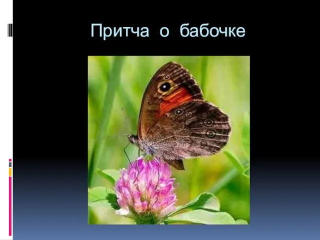Притча о бабочке