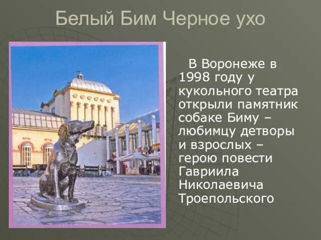 Белый Бим Черное ухо В Воронеже в 1998 году у кукольного театра