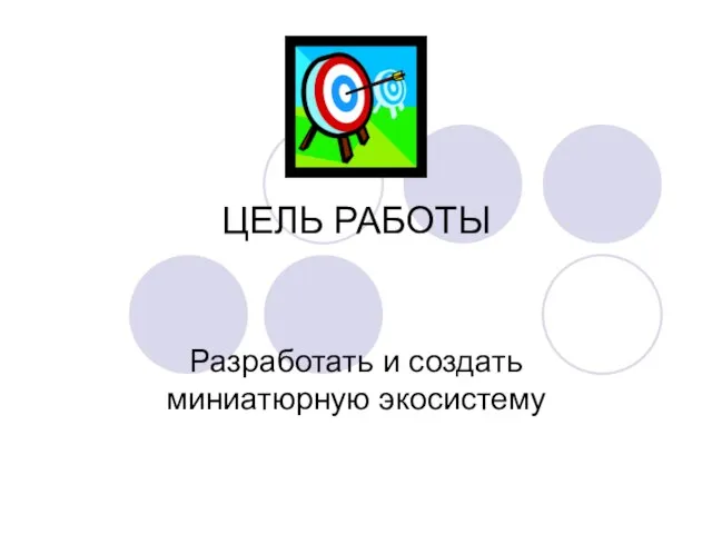 ЦЕЛЬ РАБОТЫ Разработать и создать миниатюрную экосистему