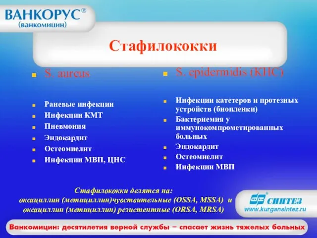 Стафилококки S. aureus Раневые инфекции Инфекции КМТ Пневмония Эндокардит Остеомиелит Инфекции МВП,