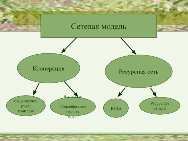 Сетевая модель Кооперация Ресурсная сеть Социокультурный комплекс Несколько общеобразовательных школ ВУЗы Ресурсные центры