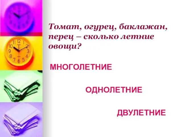 Томат, огурец, баклажан, перец – сколько летние овощи? МНОГОЛЕТНИЕ ОДНОЛЕТНИЕ ДВУЛЕТНИЕ