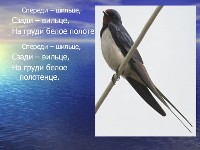 Спереди – шильце, Сзади – вильце, На груди белое полотенце. Спереди –