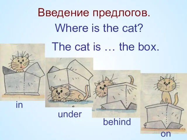 Where is the cat? The cat is … the box. in under behind on Введение предлогов.