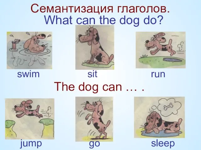 What can the dog do? swim sit run jump go sleep The