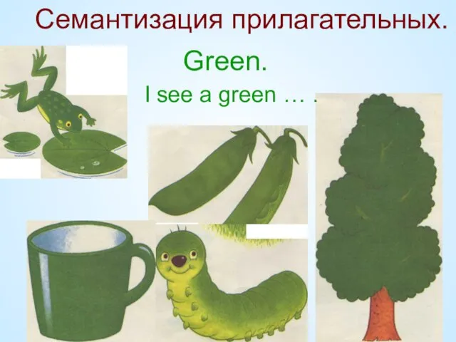 Green. I see a green … . Семантизация прилагательных.