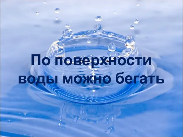 По поверхности воды можно бегать