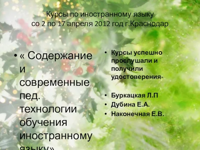 Курсы по иностранному языку со 2 по 17 апреля 2012 год г.Краснодар