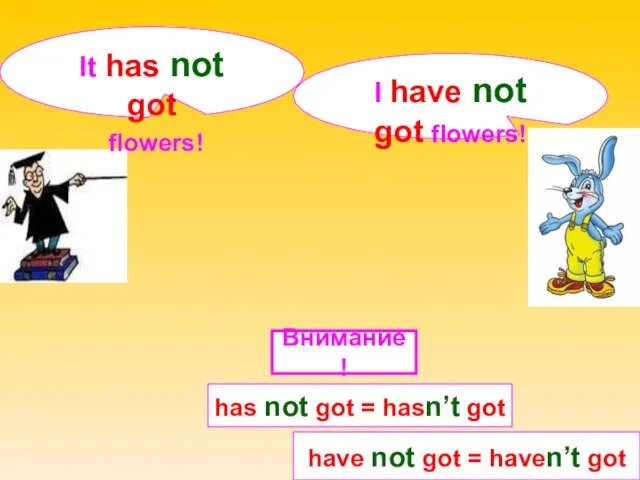 I have not got flowers! It has not got flowers! have not