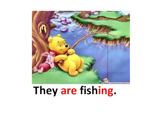 They are fishing.