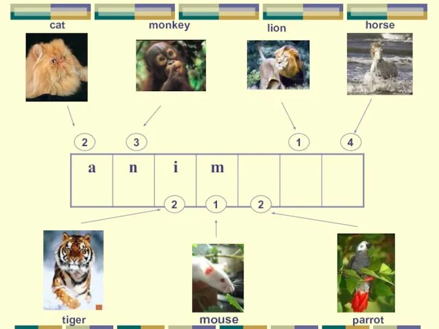 horse 4 monkey 3 2 cat lion 1 tiger mouse parrot 2 1 2