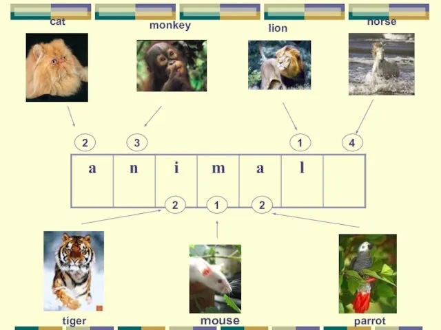 horse 4 monkey 3 2 cat lion 1 tiger mouse parrot 2 1 2