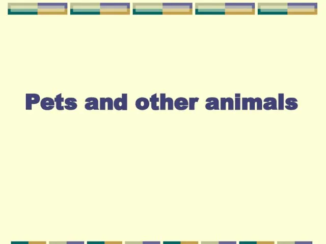 Pets and other animals